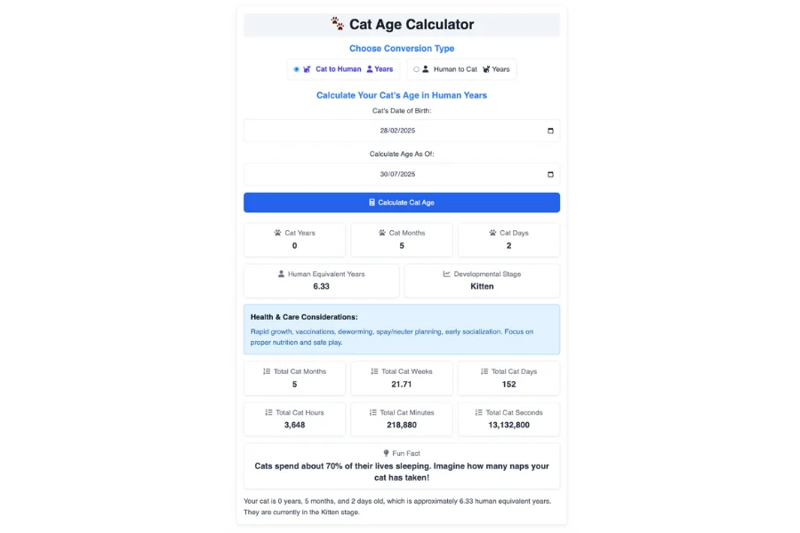 Cat Age Calculator